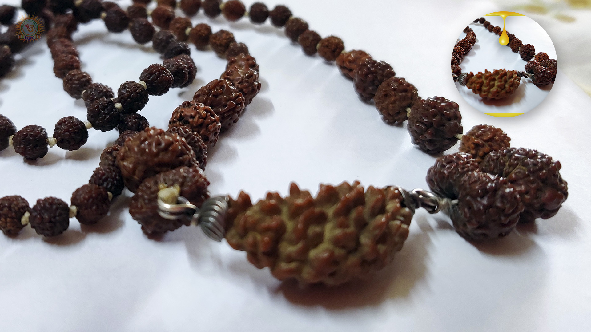 1 to 14 Mukhi Mala