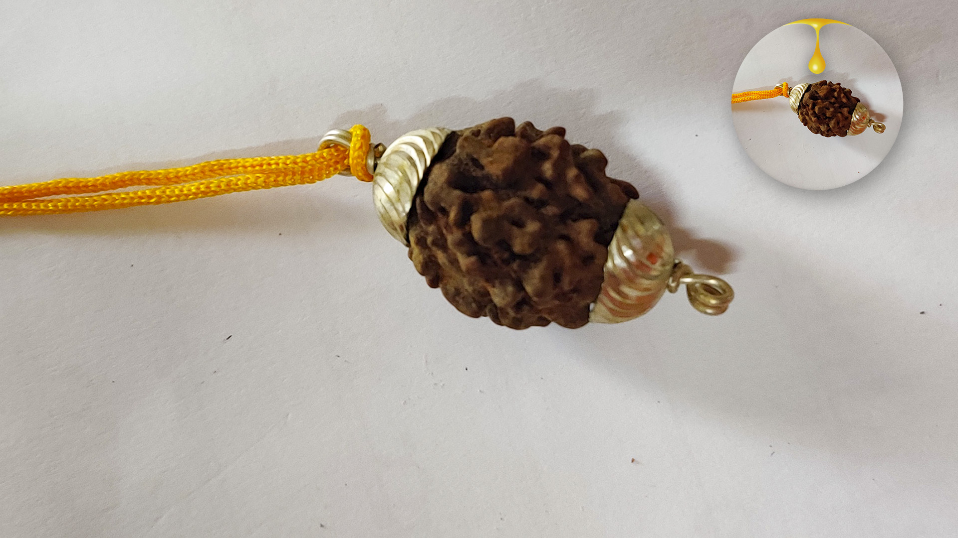 2 Mukhi Rudraksha