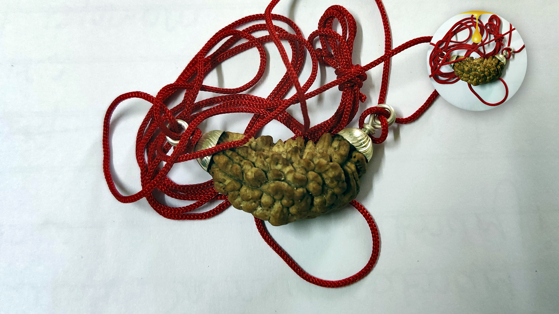 1 Mukhi Rudraksha